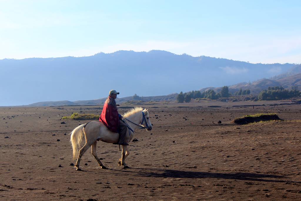[FOTO] Para Penunggang Kuda Bromo